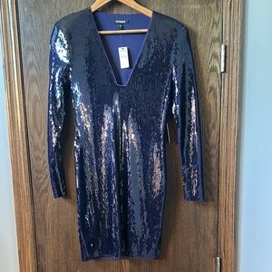 Express Navy Sequin Long Sleeve Dress